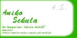 aniko sekula business card